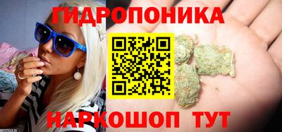Альфа ПВП Тула