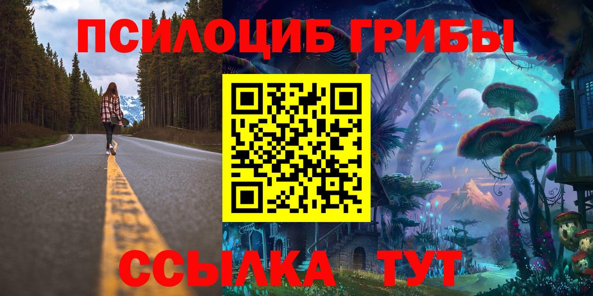 Галлюциногенные грибы GOLDEN TEACHER  Псилоцибиновые грибы мицелий  Вход с VPN  Выкса 